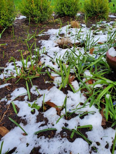 Snow and Ice in April, Again! 