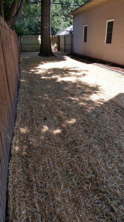 Backyard Remodel