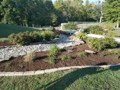 Dry Creek Bed